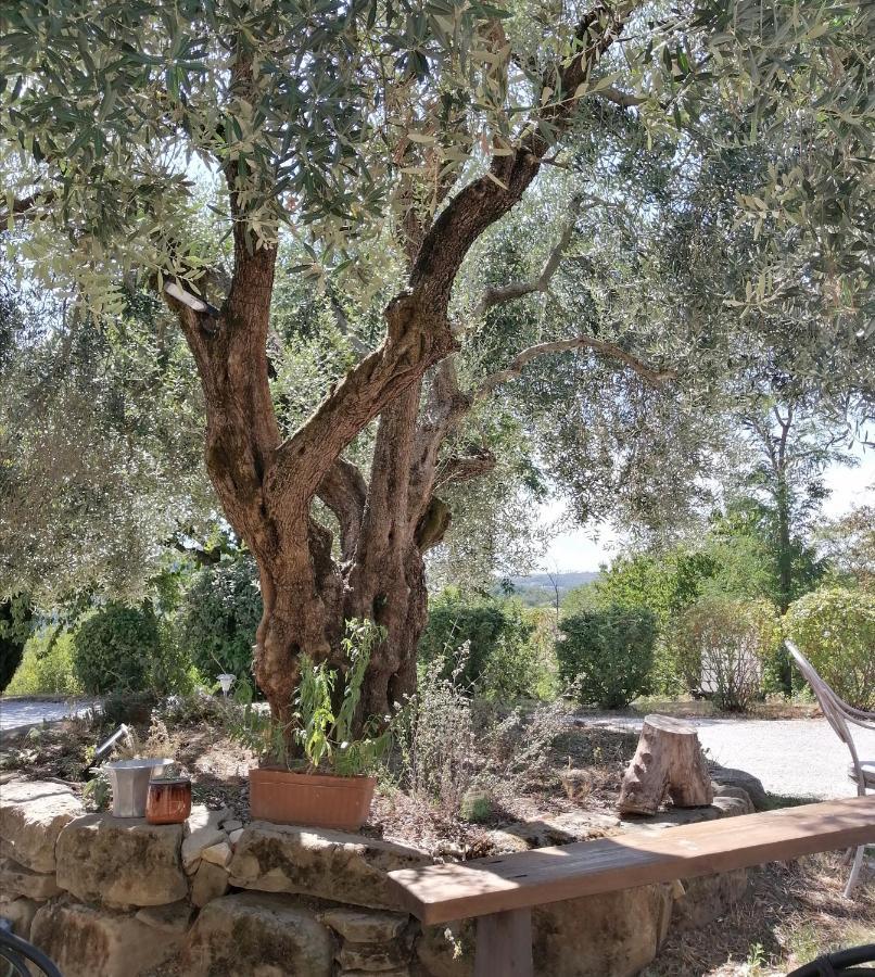 Villa La Brocca Di Valdichiascio Gubbio Exterior foto